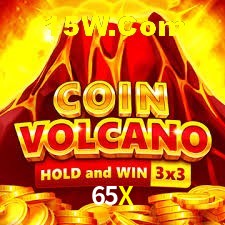 Exclusive Offers 65X