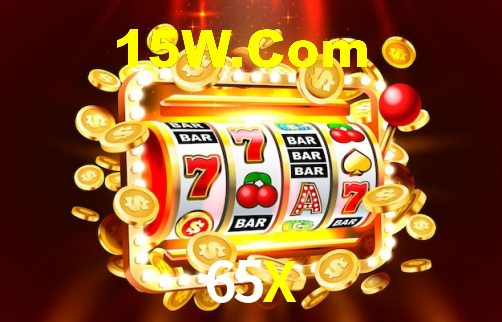 65X App Interface